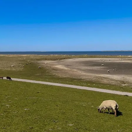 Lägenhet Meerglueck 50 0 M *